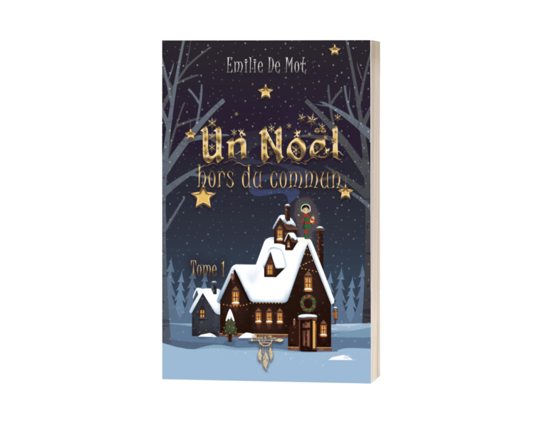 Couverture du roman Un Noël hors du commun