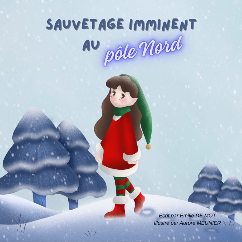 Sauvetage imminent au pôle Nord