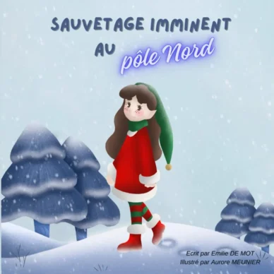 sauvetage au pole nord